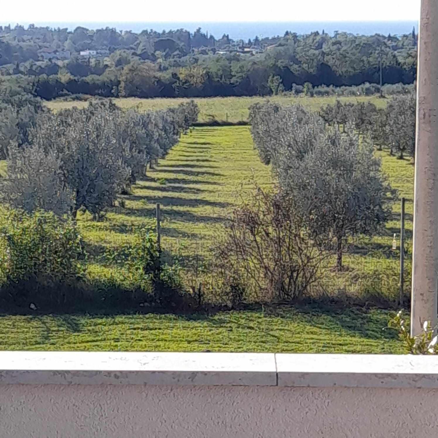 Smokvica Appartement Savudrija Buitenkant foto