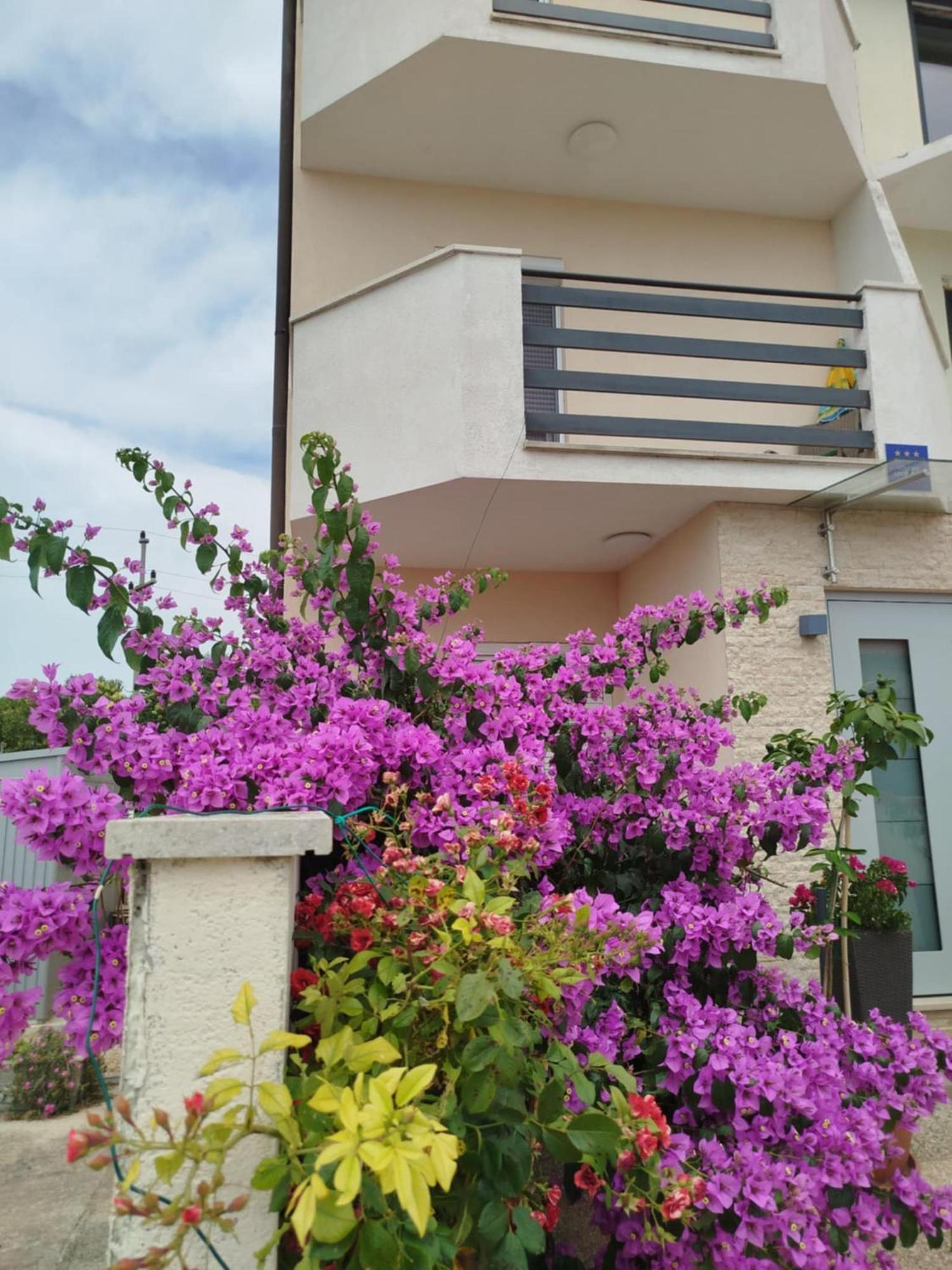Smokvica Appartement Savudrija Buitenkant foto